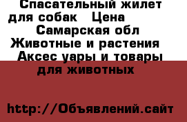 Спасательный жилет для собак › Цена ­ 1 700 - Самарская обл. Животные и растения » Аксесcуары и товары для животных   